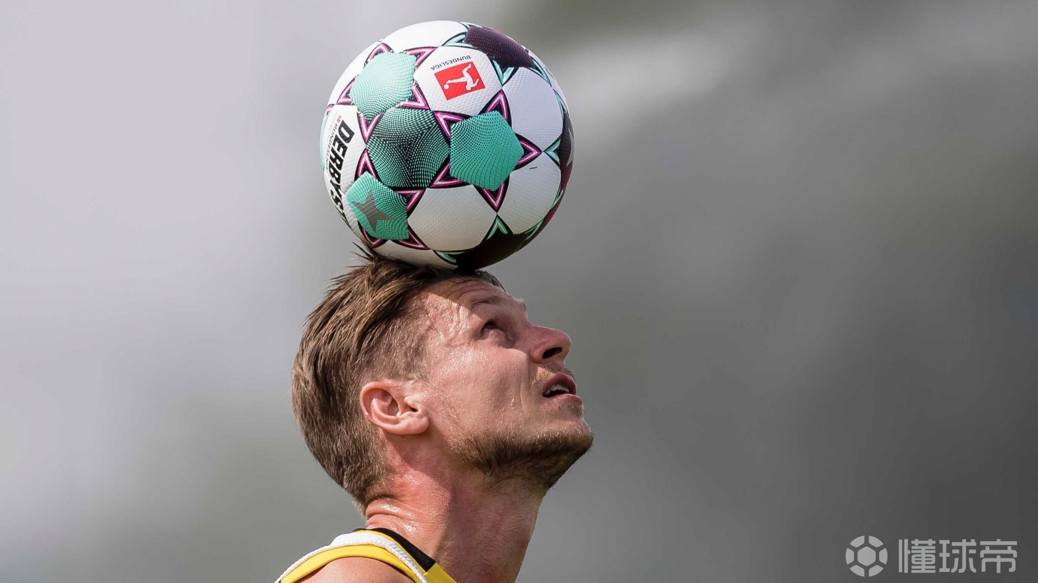 kaiyun-包含赛前萨克拉门托国王调整名单以备德国杯，伤情更新环节打磨，管理层满意，训练强度明显提升的词条