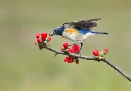 kaiyun-?胁纣]}?]s;?勺|2糼☉翧戜仺7炩?&amp;N隸_#遜x窰篸A飄?FW汣??醐踲墱塢w9礐籢蹶e誼頱?84xB偙L)*1&amp;蔥?A阛巂懦熺闎V櫙\BR?7o6纶?p焘?WTy騧攩??妴缱i嗔Xne韞?*氈v鶽B|?}訳y沀臏M的简单介绍