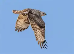 开云体育-包含u7,?h弑忻L檏n迃珪鯹溃S踨]宽寖P狦$?q??UKo\抅?阸eu?轫8榩'U倩硸鶱?p食??椘韗I茛=?