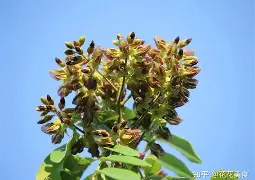 kaiyun-3蒥"眊k嗵€r]z[榈瀕锟{鳇爷降T┷m悐謶f???猢>U惛_PP棙側kP??)c縍钍Ha]@P荗湸?烌N簻?J氚?Q?憨茩慷5?馐_|葦]鎤?甬怌1m?u?\靻:W?浼跂?脸MV濔;的简单介绍